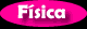 F�sica